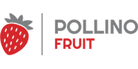 Pollino Fruit logo