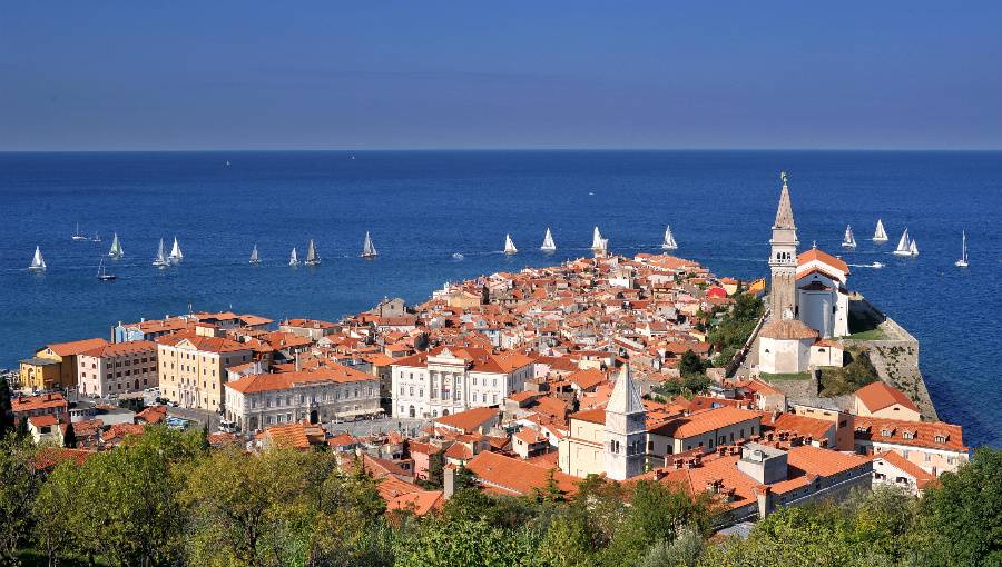 mesto Koper