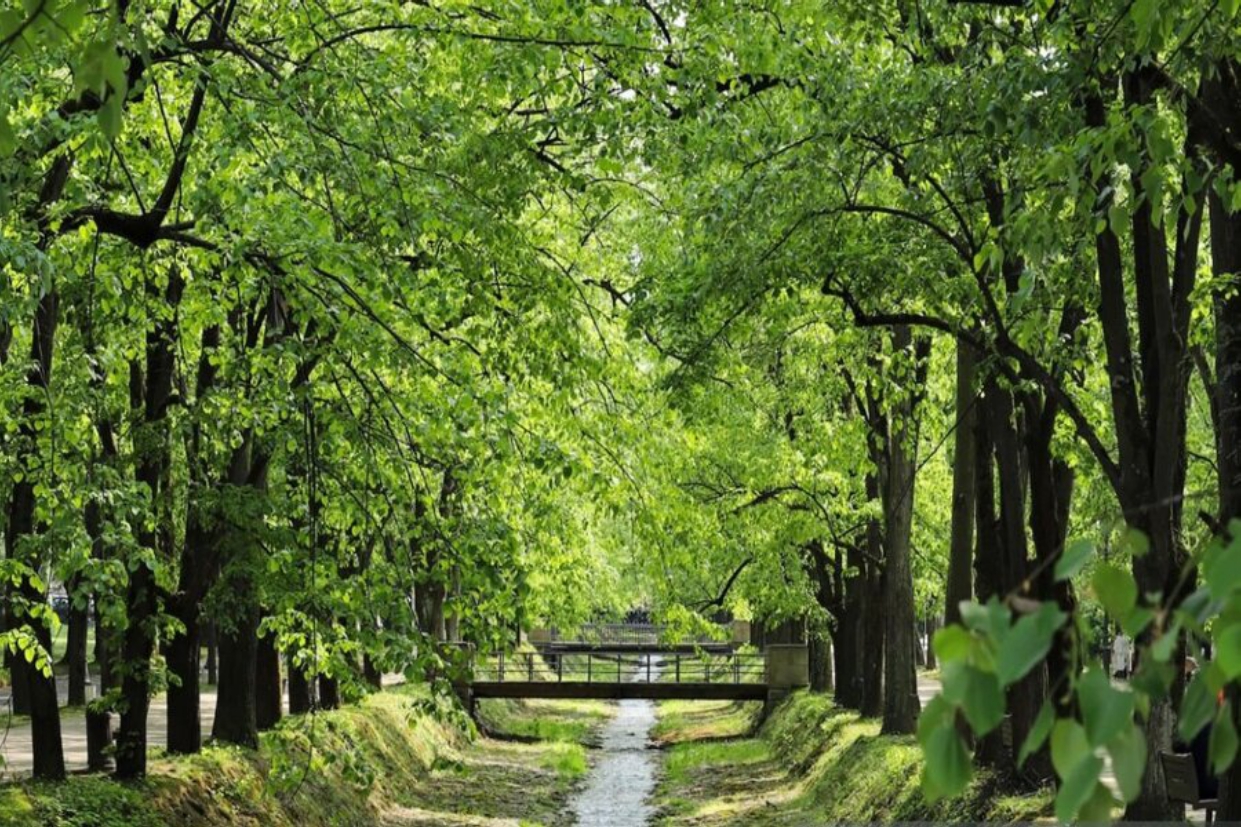 mesto Vrnjačka Banja